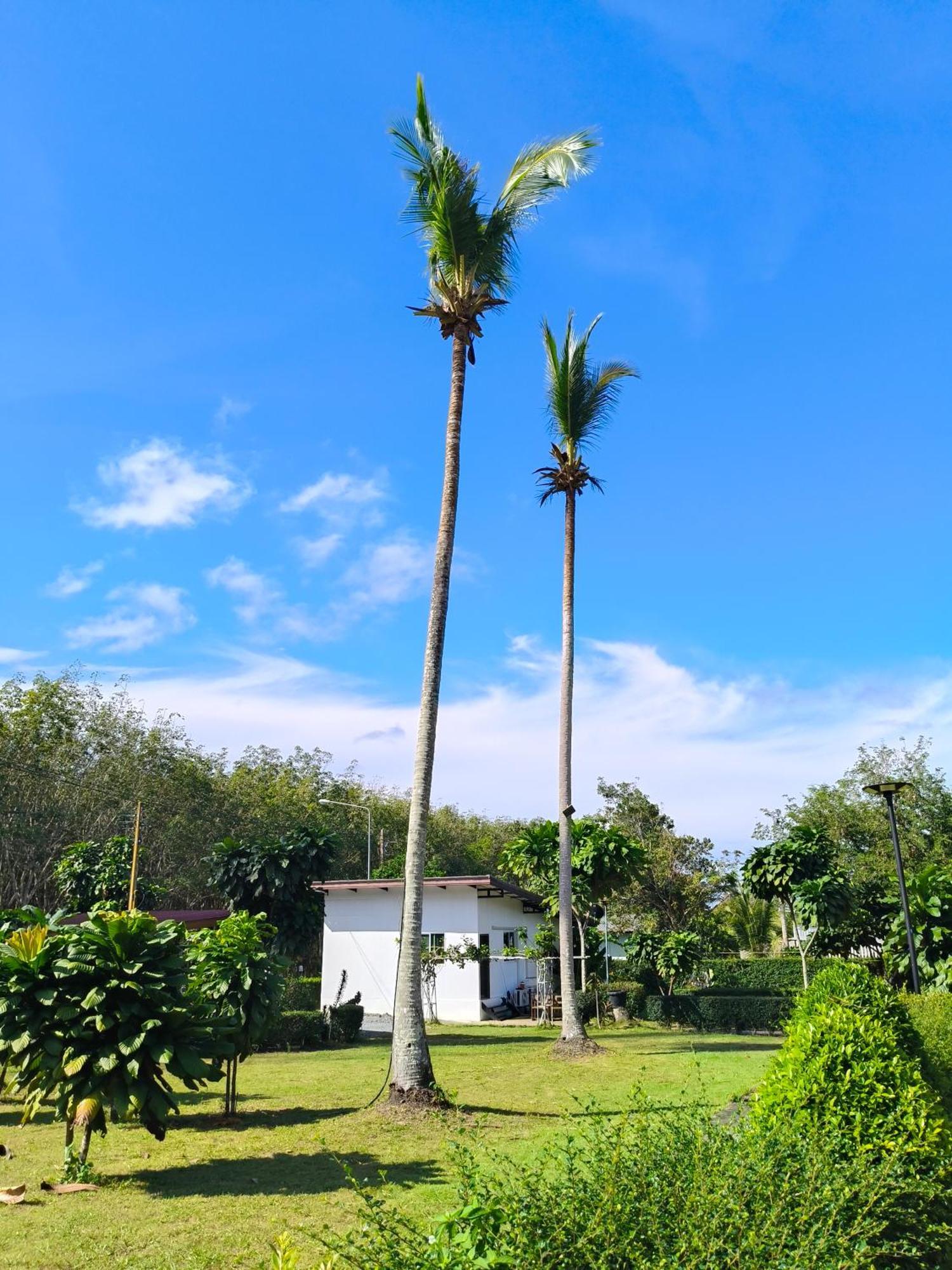The Lodge At Koh Kood Ko Kut Esterno foto